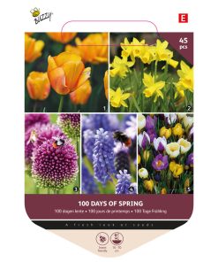 mixed flower bulbs