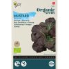 Red Giant Mustard