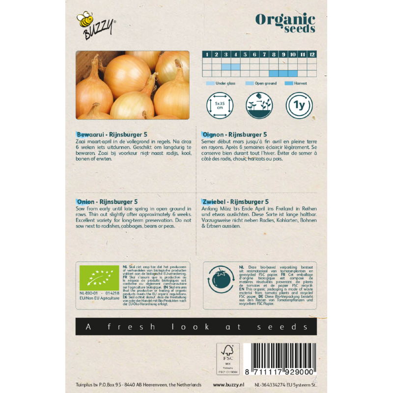 Buzzy Organic Storage Onion Rijnsburger 5 Seeds 1g - Image 2
