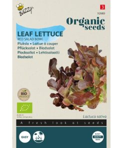 Buzzy® Organic Pickled Lettuce Red Salad Bowl (BIO)
