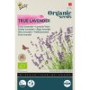 Buzzy® Organic Real Lavender seeds (BIO)