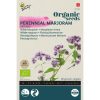 Buzzy® Organic Wild Marjoram - Oregano seeds (BIO)2
