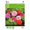 California Giant Zinnia Mixed
