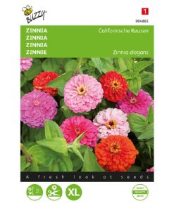 California Giant Zinnia Mixed