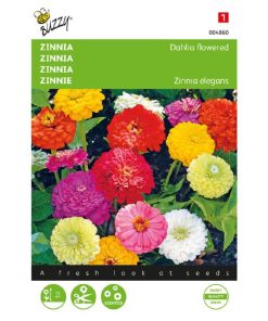 Buzzy Dahlia-Flowered Zinnia Mixed Seeds 1.5g