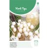 HT Pickling Onion De Barletta