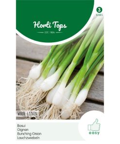 HT Spring Onion White Lisbon