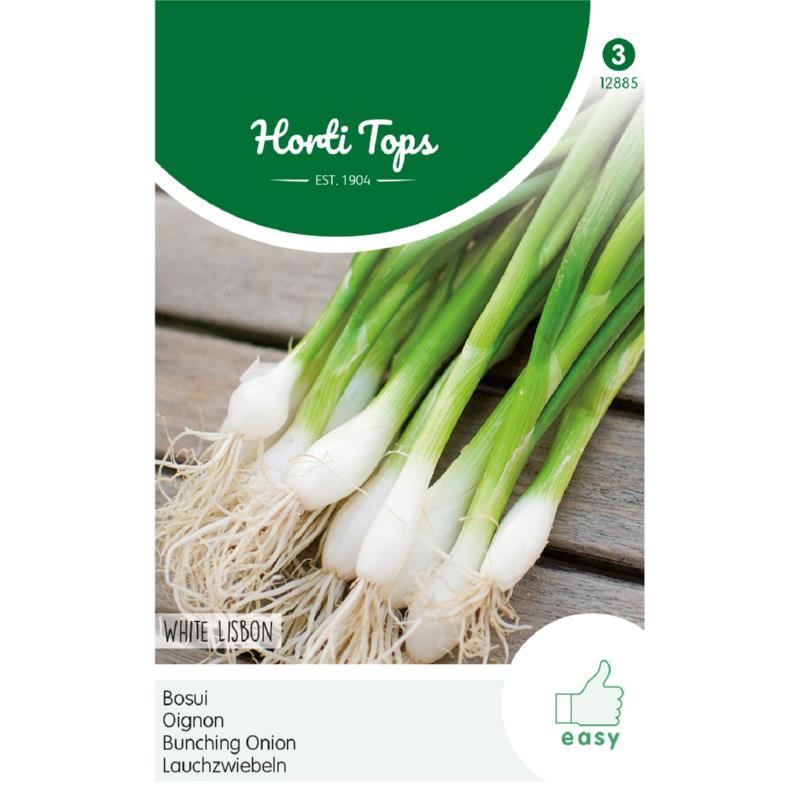 HT Spring Onion White Lisbon