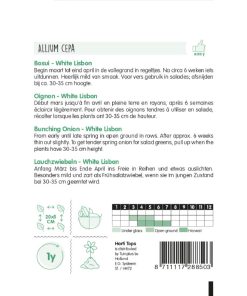 HT Spring Onion White Lisbon