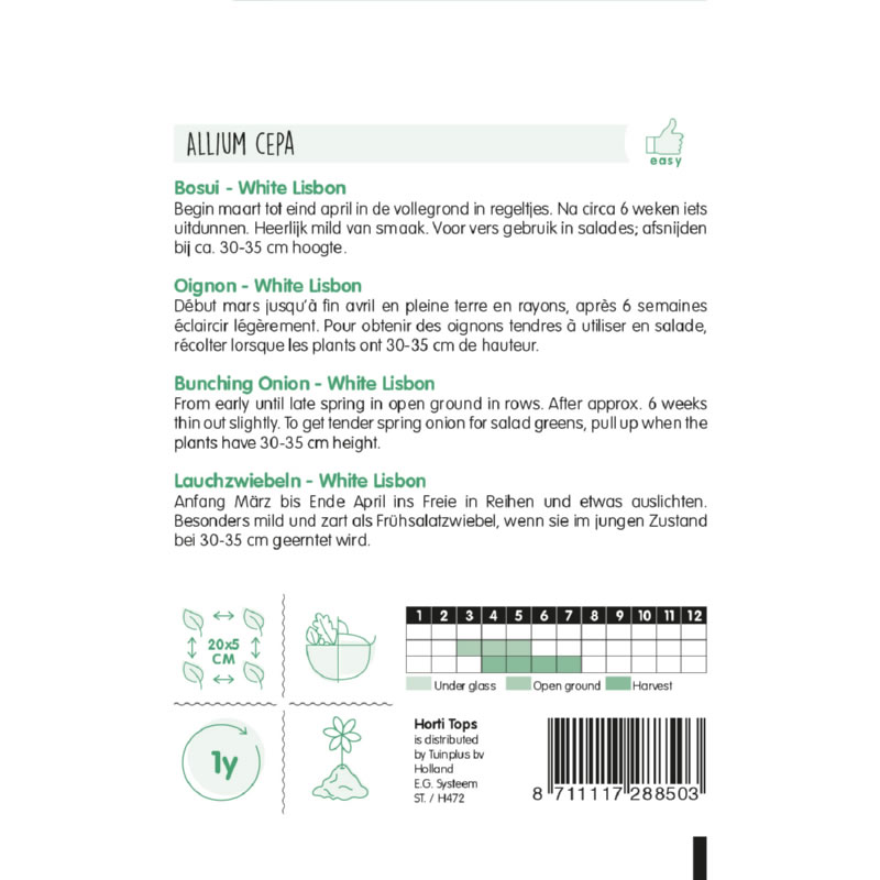 HT Spring Onion White Lisbon