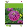 Lavender Zinnia Seeds